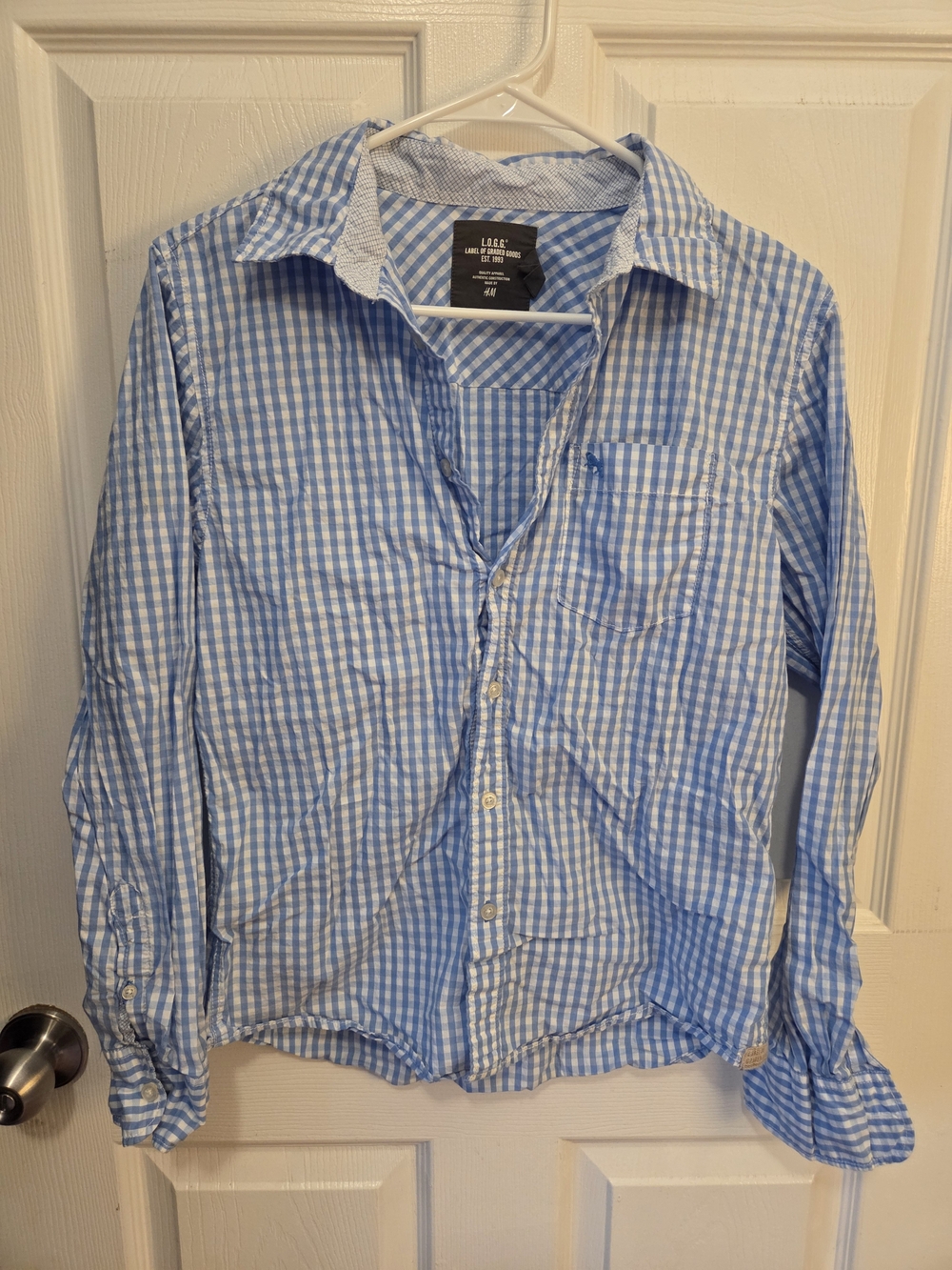 H&M Blue and White Gingham Button-Down Shirt